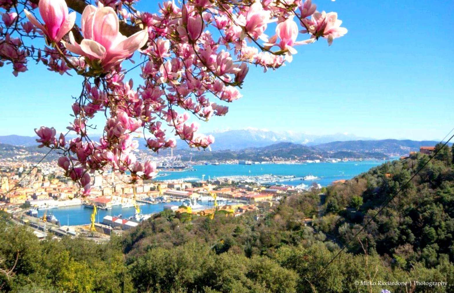 Vila Casa Tartaruga La Spezia Exteriér fotografie